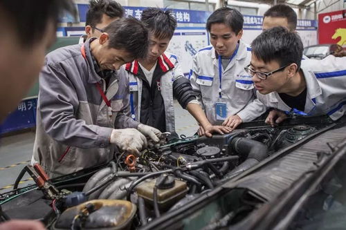 南宁市新手入门指南 机动车修理与维护工证考取全攻略